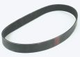 BELT POLY V (260J10)