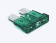 FUSE--30A F2