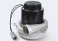 MOTOR-VACUUM 36VDC