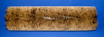 MAIN BROOM 50" HIGH DENSITY FIBRE/WIRE