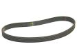 BELT (single pack)