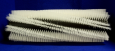 BRUSH
