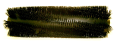 BROOM