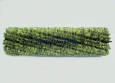 PROEX & WIRE (12 D.R.)