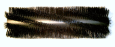 BROOM, 50' POLY & WIRE